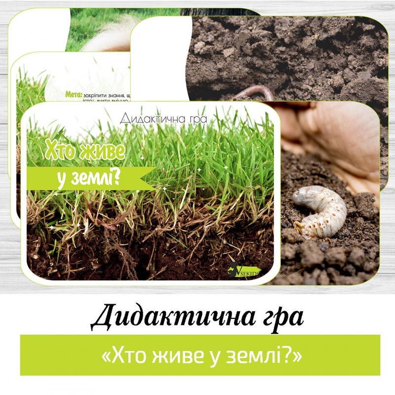 Дидактична гра «Хто живе у землі?»