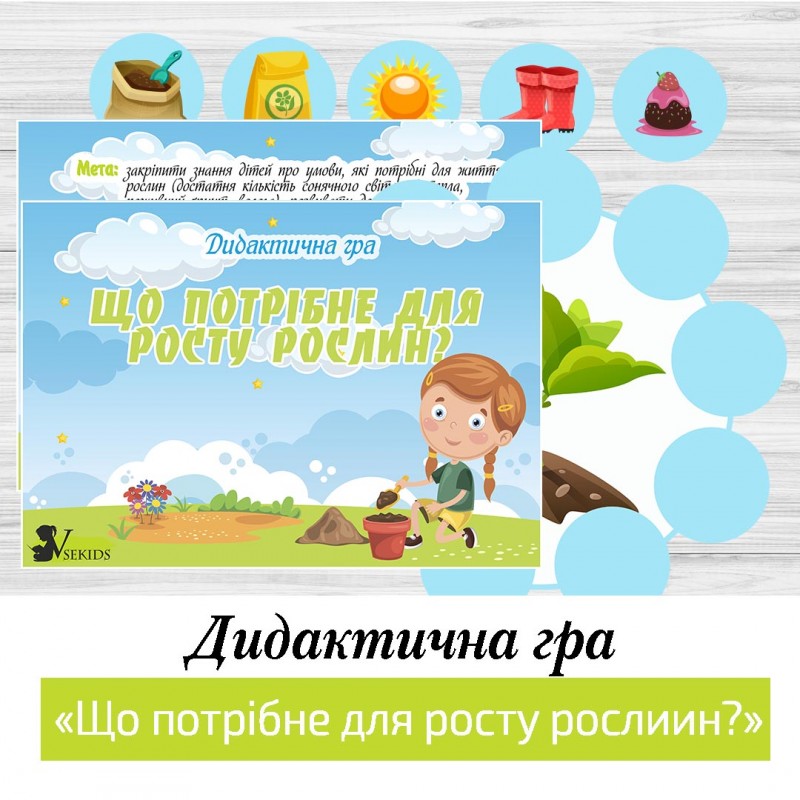 Дидактична гра «Що потрібне для росту рослин?»