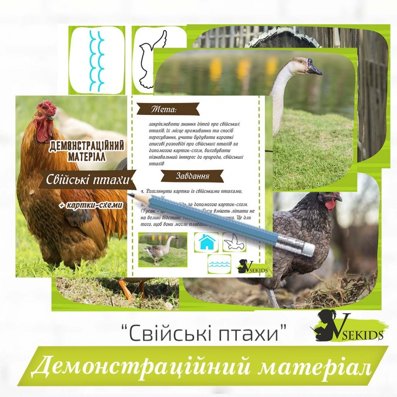«Свійські птахи» демонстраційний матеріал+ картки-схеми